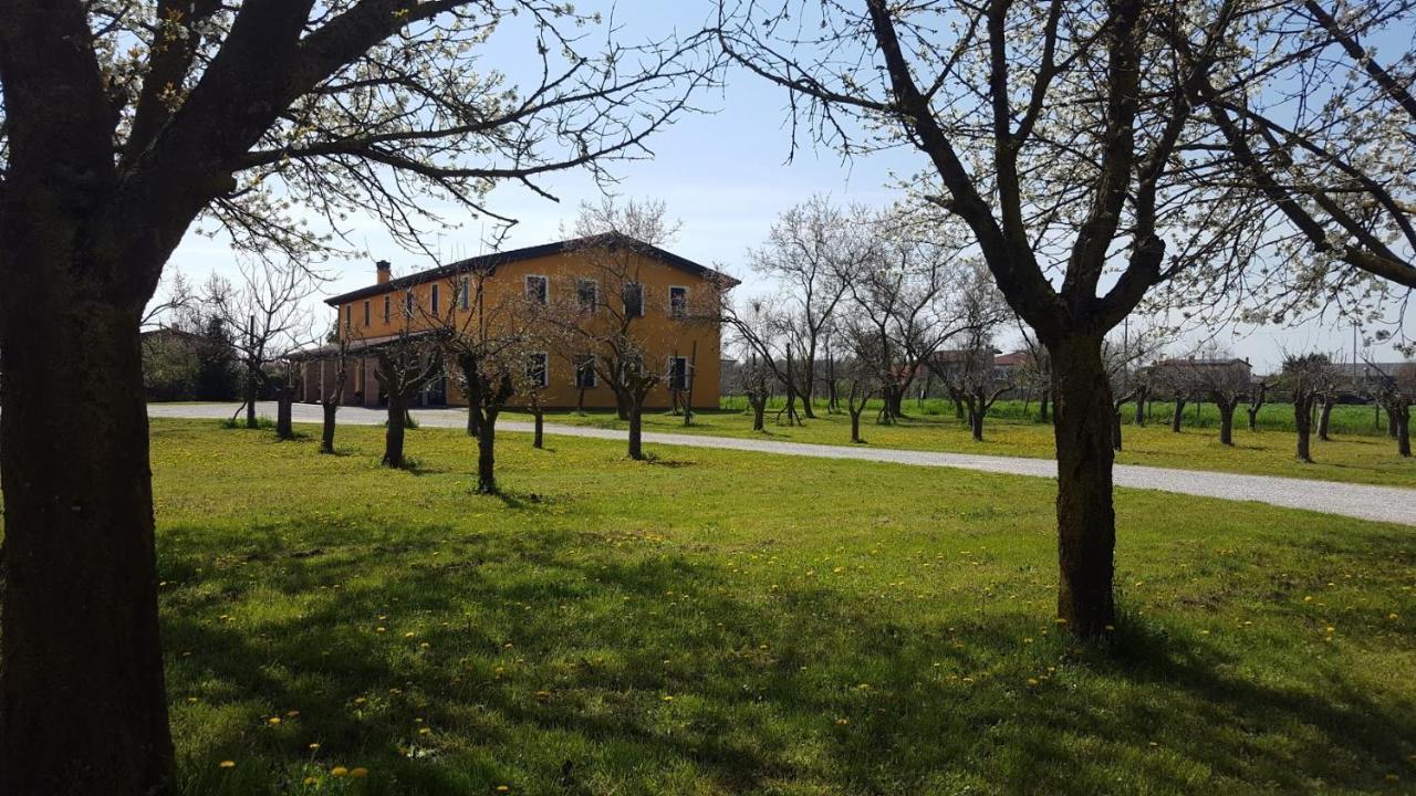 Agriturismo Borgo Borromeo Rubano Kültér fotó
